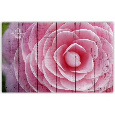 Картины Цветы -14 Розовая роза, Цветы, Creative Wood
